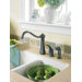 Vestige One Handle High Arc Kitchen Faucet with Side Spray