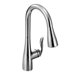 Arbor Single Handle High Arc Pulldown Kitchen Faucet