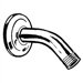 Shower Arm and Flange Kit