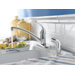 Chateau Single Handle Centerset Kitchen Faucet with Protege Side Spray