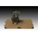 Frisco Dog Bed in Brown