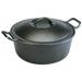10" Pro Logic Dutch Oven