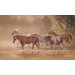 Misty River Chair Rail Prepasted Wall Mural