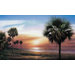 Palm Tree Chair Rail Prepasted Mural 6' x 10.5'