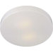 2.75" 2 Light Flush Mount