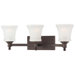 Hayvenhurst 3 Light Bath Vanity Light