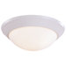 Contractor Series 1 Light Flush Mount