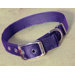 Double Thick Nylon Deluxe Dog Collar in Hot Purple