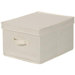 Storage and Organization 8" Large Storage Box
