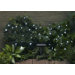 Solar 30 Piece Star Light String