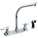 Two Handle Decor Kitchen Faucet with Spray