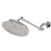 Downpour Shower Head