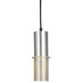 1 Light Pendant