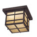 Delancy  Outdoor Flush Mount in Iron Oxide - Energy Star