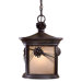 Abbey Lane 1 Light Indoor/Outdoor Chain Hanging Lantern