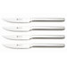 4 Piece Steak Set