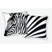 Zebra Pillow