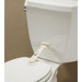 Swing Shut Toilet Lock