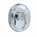 Dazzle Volume Shower Faucet Trim Kit