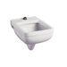 Rim Guard Wall-Mount Clinic Service Sink