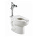 Madera Ada Elongated Toilet Bowl and Selectronic Flush Valve