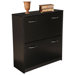 VHZ Storage Double Shoe Cabinet