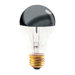 60W Half Chrome A19 A Shape Bulb