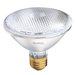 75W 120V PAR30 Halogen Flood Light Bulb in Warm White