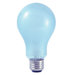 "See Better, Feel Better" Full Spectrum True Daylight 3-Way A19 Bulb in Clear Neodymium