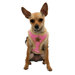 Fur Star Dog Harness Vest in Pink