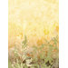 Modern Murals Wildflower Mural in Golden