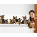 Good Dog Mural Style Border Art