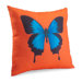 Center of Attention Pillow