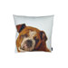 English Bulldog Pillow