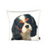 Cavalier King James Pillow