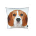 Beagle Pillow