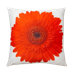 Red Gerbera Pillow