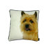Yorkie Pillow