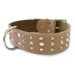 2" Signature Quality Double-Ply Genuine Leather Studded Dog Collar