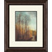 Winter Light A Framed Art