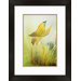 Walt Disney Signature Giclee VII Framed Print #324b Inspired by Alice in Wonderland � 18" x 14"