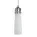 1 Light Pendant