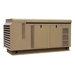 Packaged Standby Series 90 Kilowatt 1-Phase Double Fuel Generator