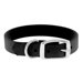 The Perfect 1" Dog Collar