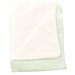 Soft and Snuggly Blanket in Sage