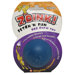 Zoink Fetch N Fun Dog Toy