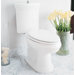 Archive Elongated Toilet in White