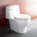 Veneto II One Piece Toilet with Chrome Lever Actuator and Seat