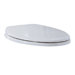 Round Front Slow Close Toilet Seat Cover with Hinges