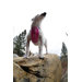 Chestplate Dog Harness in Pink Camo